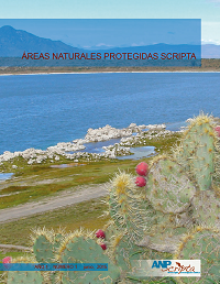 Primer N&uacute;mero