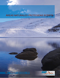 Segundo N&uacute;mero