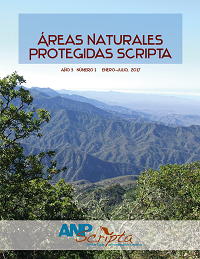 Quinto N&uacute;mero