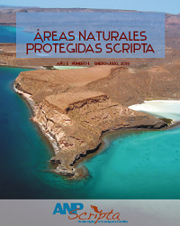 Noveno N&uacute;mero