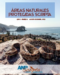 D&eacute;cimo N&uacute;mero