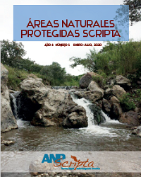 D&eacute;cimo N&uacute;mero