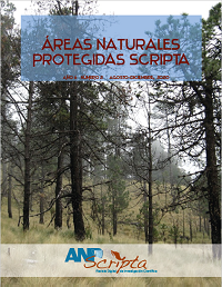 Duod&eacute;cimo N&uacute;mero