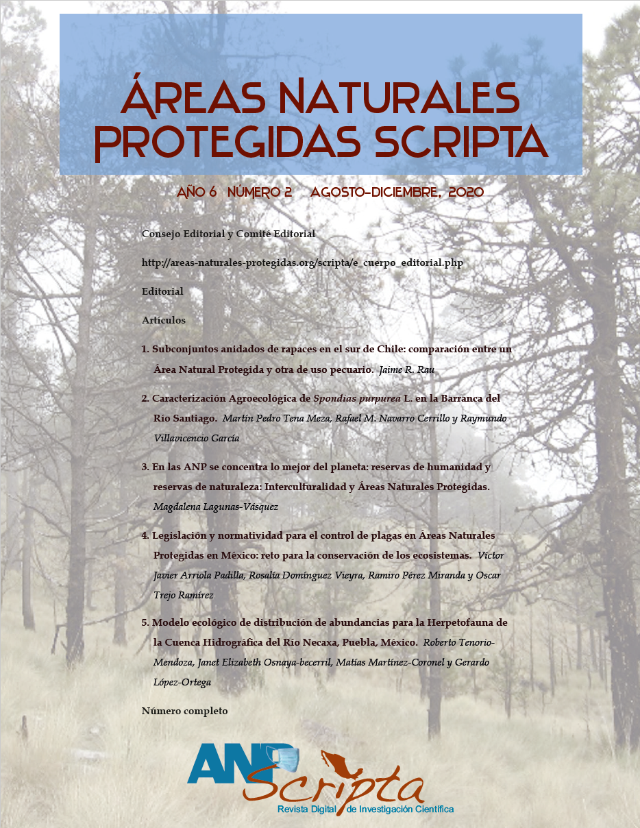Scripta Vol.12