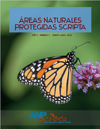 Decimotercer N&uacute;mero