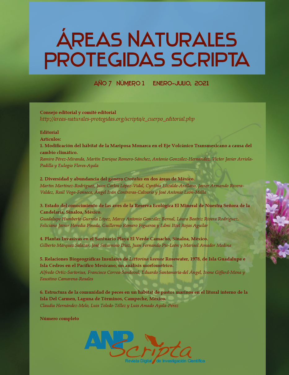 Scripta Vol.13