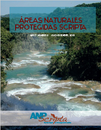 Decimocuarto N&uacute;mero