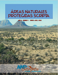 Decimoquinto N&uacute;mero