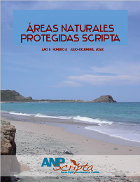 Decimosexto N&uacute;mero