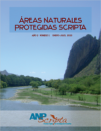 Decimos&eacute;ptimo N&uacute;mero