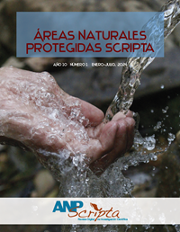 Decimonoveno N&uacute;mero