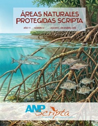 Vig&eacute;simosegundo N&uacute;mero